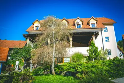 a house with a tree in front of it at Hotel Kovac in Osilnica