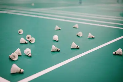 a group of mushrooms laying on a street at Bit Center Hotel in Ljubljana
