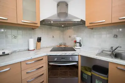 a kitchen with a stove and a sink at Apartmaji Matej Cvetek in Bohinj