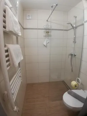 a bathroom with a shower and a toilet at Apartmaji Taler in Bohinj