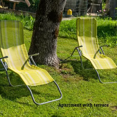 two yellow chairs sitting next to a tree at Apartmaji Taler in Bohinj