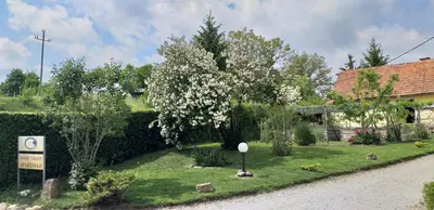 a garden with a flowering tree and a house at Apartments Vita Center in Rogaška Slatina