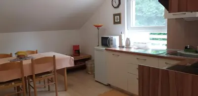 a small kitchen with a table and a microwave at Apartments Vita Center in Rogaška Slatina