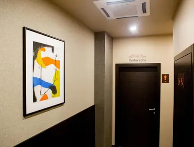a painting on a wall next to a door at Hotel Pomaranča in Ptuj
