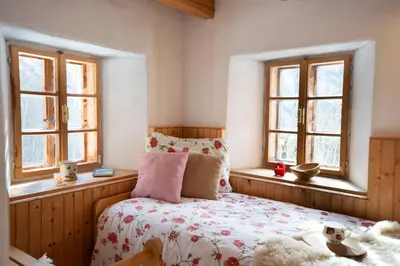 a bedroom with a bed and two windows at Bezgova Hišica in Bovec