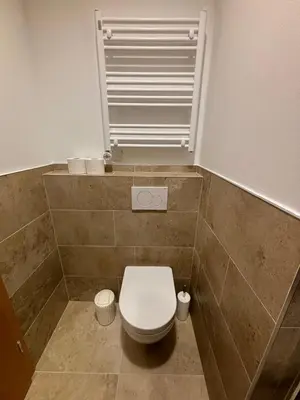 a small bathroom with a toilet and a window at Vila Weekend in Rogaška Slatina