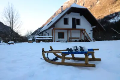 a couple of animals sitting on a bench in the snow at Bovec Home At Three Samoyeds in Soča
