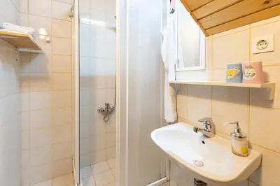 a bathroom with a sink and a shower at Apartmaji Verica Ceklin in Bohinj