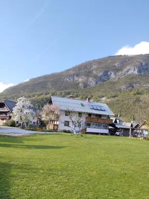 a house on a field with a hill in the background at Apartmaji Verica Ceklin in Bohinj