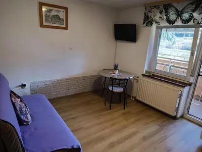 a room with a couch and a table and a window at Apartmaji Verica Ceklin in Bohinj