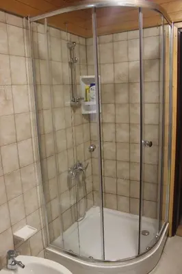a shower in a bathroom with a toilet and a sink at Apartmaji Colja in Bohinj
