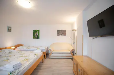 a small room with two beds and a tv at Apartmaji Colja in Bohinj