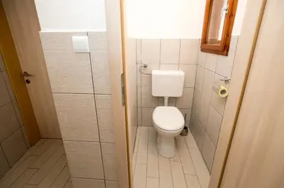 a small bathroom with a toilet and a shower at Turistična kmetija Gartner in Bohinj