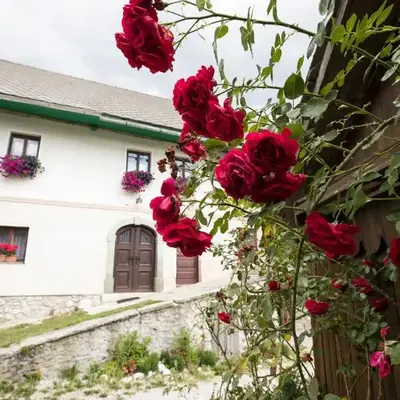 Turistična kmetija Gartner