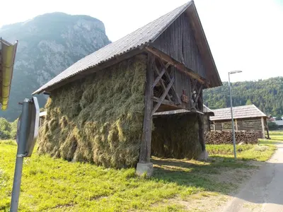 a building covered in moss next to a road at Turistična kmetija Pri Andreju in Bohinj