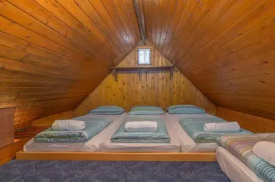 a bedroom with two beds in a wooden cabin at Chalet Resa - Velika planina in Stahovica