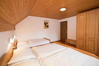 a bedroom with two beds and a wooden ceiling at Turistična Kmetija Gartner 3a in Bohinj