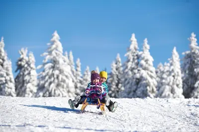 two children sitting on a sled in the snow at Depandansa Brinje in Zreče