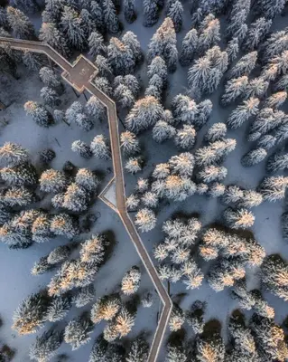 an aerial view of a road in the snow with trees at Depandansa Brinje in Zreče