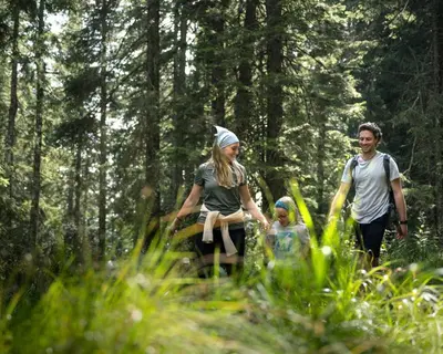 a group of three people walking through a forest at Depandansa Brinje in Zreče