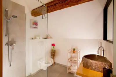 a bathroom with a sink and a shower at Juvanova hiša - Apartments and Rooms in Luče