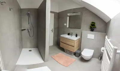 a bathroom with a sink and a toilet and a shower at Apartment Ajda Bled in Bled