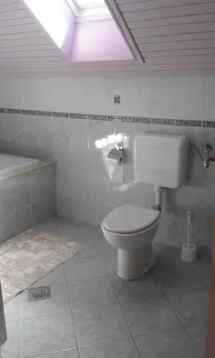 a bathroom with a toilet and a bath tub at Apartment Korošec Matej in Bohinj