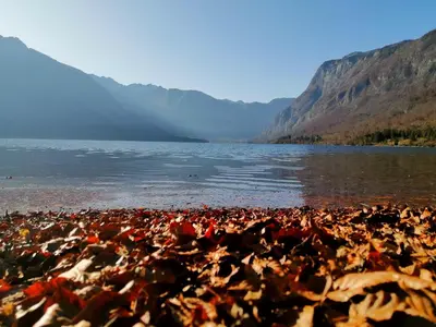 a large pile of rocks next to a body of water at Apartment Korošec Matej in Bohinj