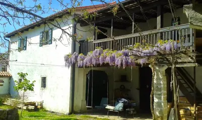 a house with purple wisterias hanging from a balcony at Apartmaji Hedera in Komen