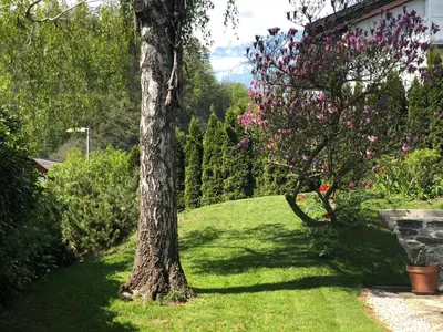 a tree sitting in the grass next to a house at Katarina in Bled