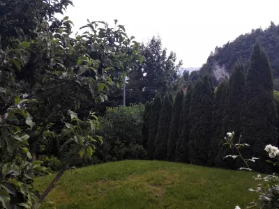 a garden with trees and a grass field at Katarina in Bled