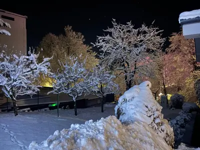 a pile of snow in front of trees at night at Katarina in Bled