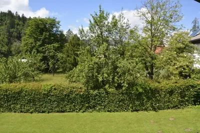 a hedge in a yard with trees and a house at Vila Laura in Bled