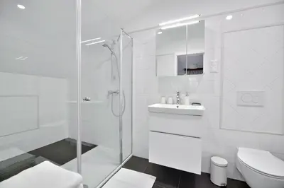 a white bathroom with a shower and a toilet at Vila Laura in Bled