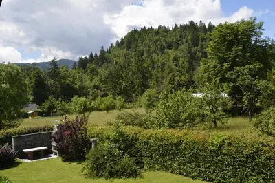 a park with a bench in the middle of a field at Vila Laura in Bled