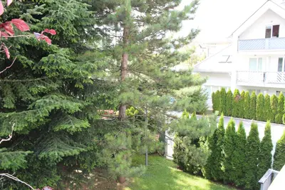 a view of a yard with trees and a house at Vila Apartment Bled Lake in Bled