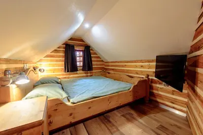 a bed in a wooden room with a tv at ABC apartments in Kamnik