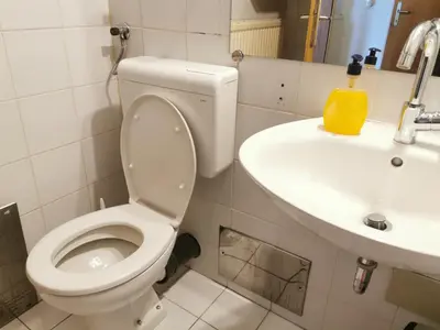 a bathroom with a toilet and a sink at Dunajska Apartment in Ljubljana