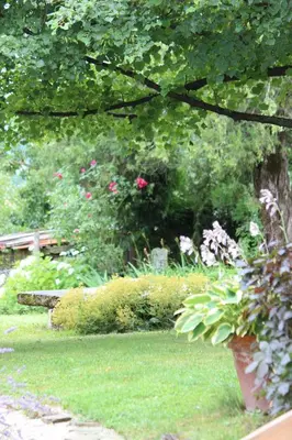 a garden with pink flowers and plants in the background at Mala Kmetija in Slovenske Konjice