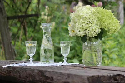 a table with two glasses and a vase with flowers at Mala Kmetija in Slovenske Konjice