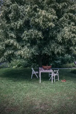 a picnic table and two chairs under a tree at Mala Kmetija in Slovenske Konjice