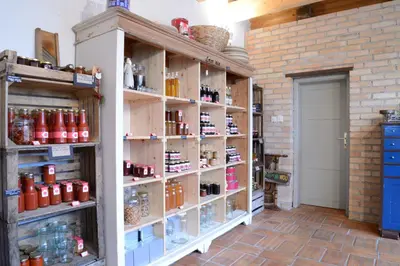 a room with a shelf filled with lots of products at Mala Kmetija in Slovenske Konjice
