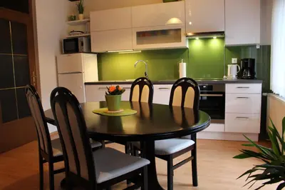 a kitchen with a table and chairs and green walls at Apartma Maržič in Kranjska Gora