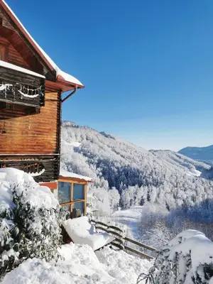 a snow covered cabin with a view of a mountain at Hiška sprostitve in Vransko
