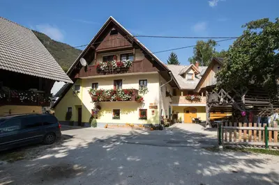 a house with flower boxes on the side of it at Farmhouse pri Miklavu in Bohinj