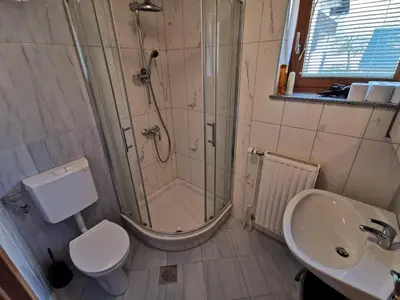 a bathroom with a shower and a toilet and a sink at Apartments Henigman in Bohinj