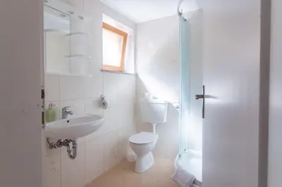a bathroom with a toilet and a sink and a shower at Apartments Henigman in Bohinj