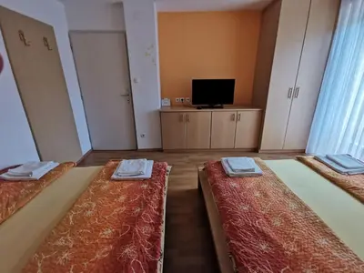 a room with two beds and a tv in it at Apartments Henigman in Bohinj