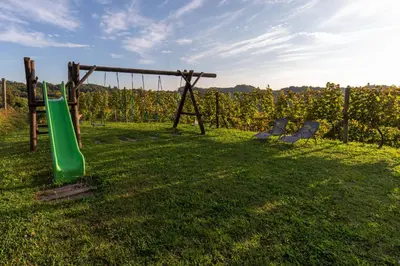 a playground with a slide and two chairs in a field at Turistična Kmetija Pungračič in Zavrč