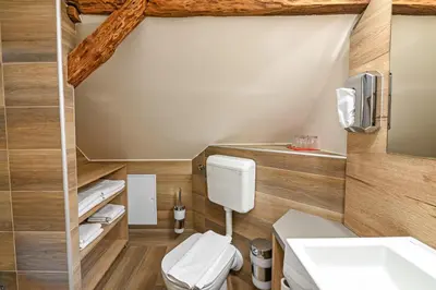 a bathroom with a toilet and a sink at Turistična Kmetija Pungračič in Zavrč